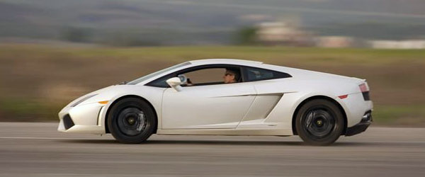 lamborghini gallardo