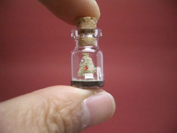 miniatiurinis-pasaulis-miniatiuriniame-buteliuke-19