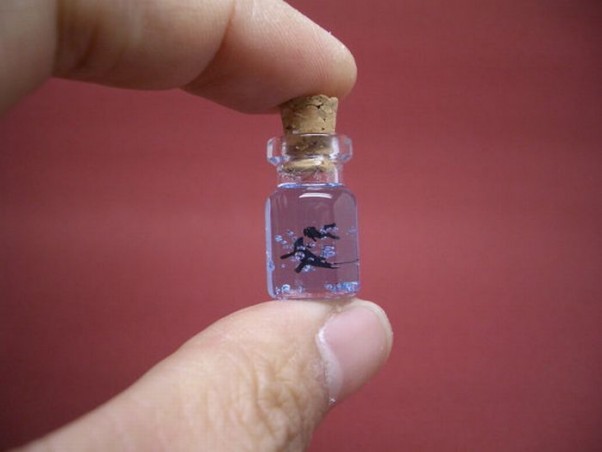 miniatiurinis-pasaulis-miniatiuriniame-buteliuke-21