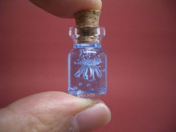 miniatiurinis-pasaulis-miniatiuriniame-buteliuke-25